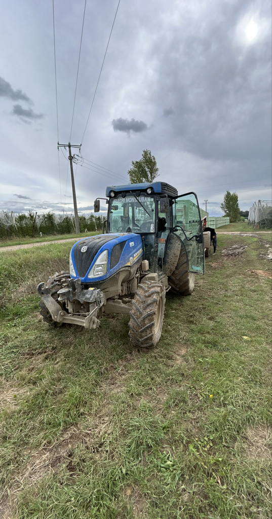 695e84e888d87befb4128566