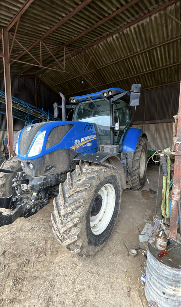 69ba431a88c84996884fde94