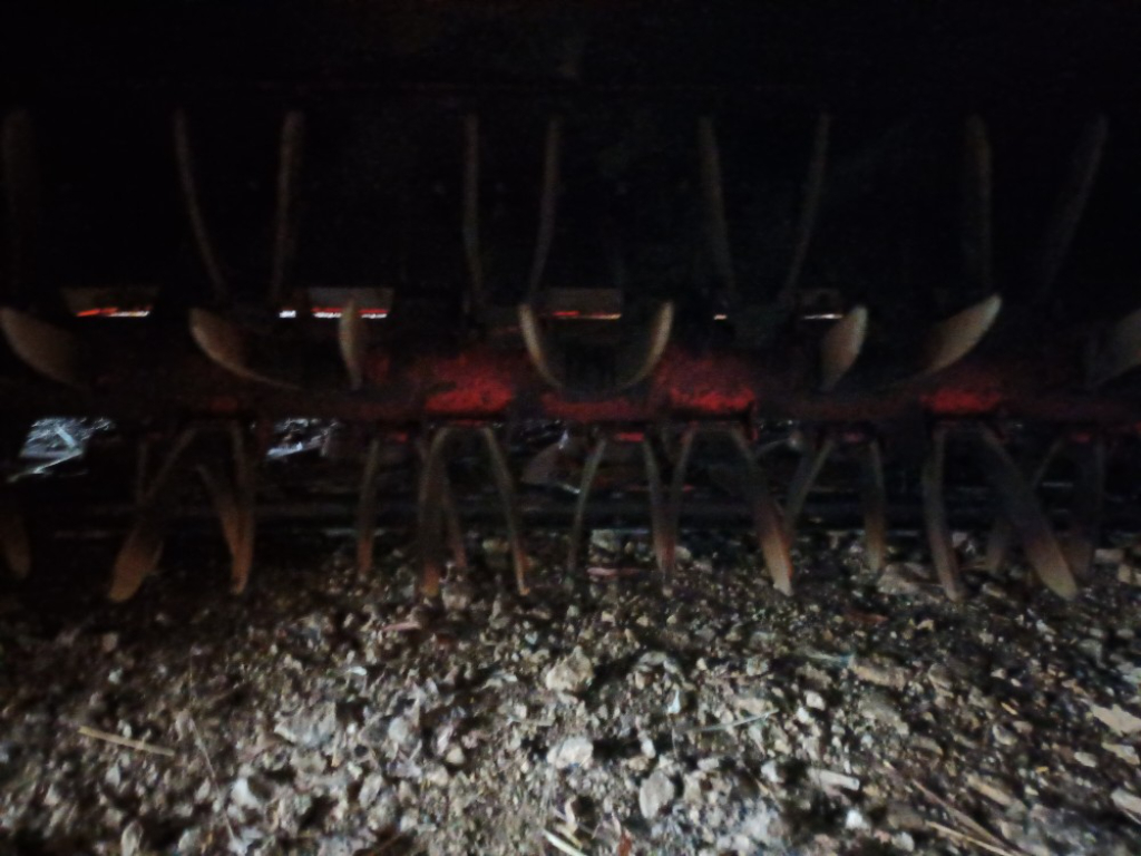 picture 1