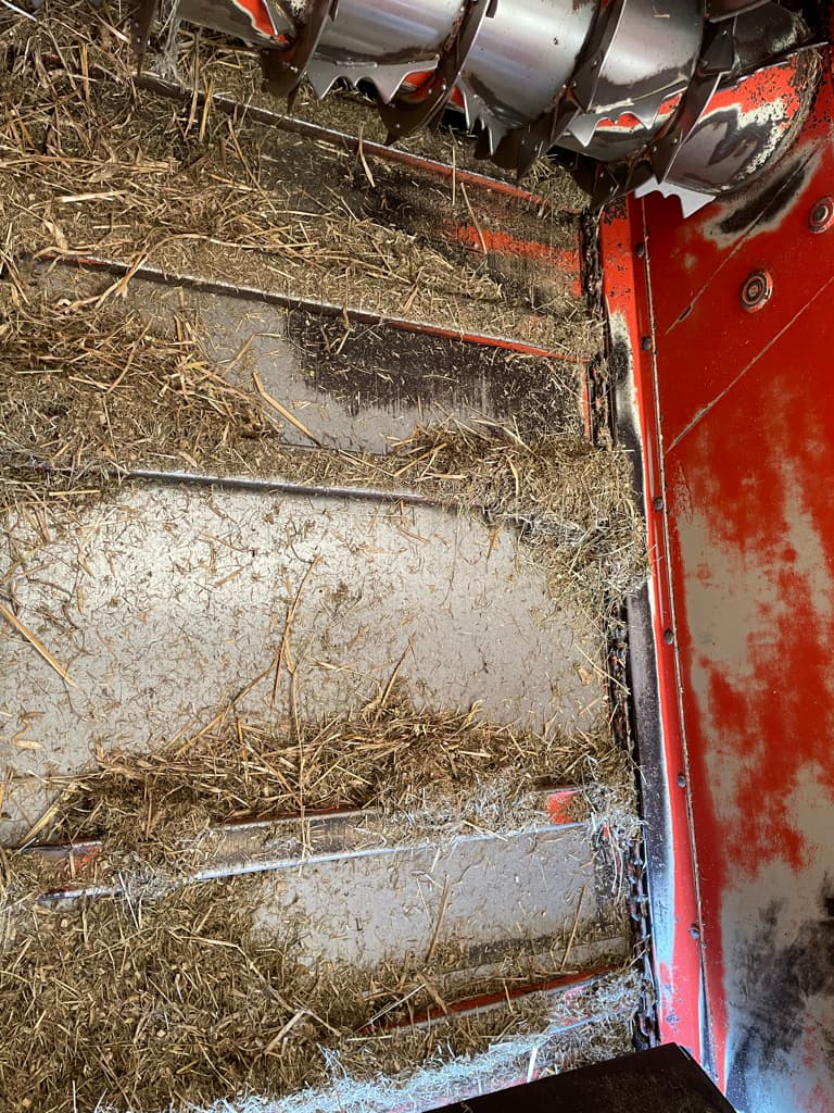 picture slide 16