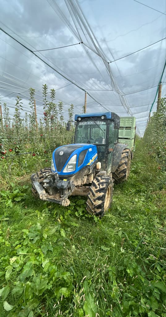 695e84eb88d87befb4128567