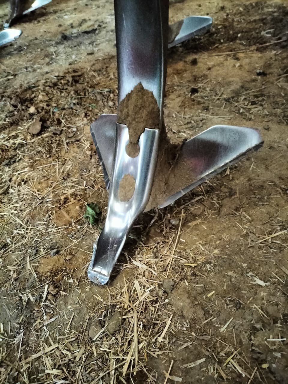 picture slide 4