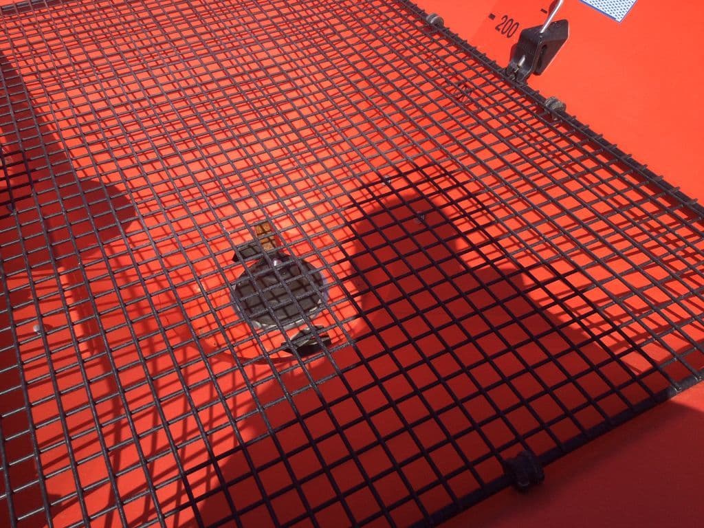 picture slide 3