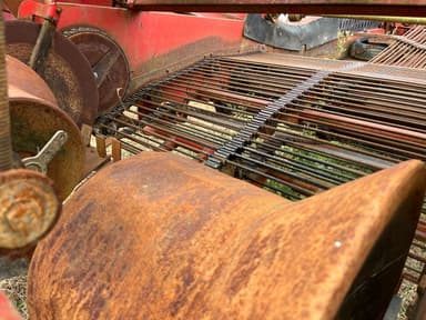 Arracheuse de pommes de terre GRIMME GZ 1700 DLS - photo 4