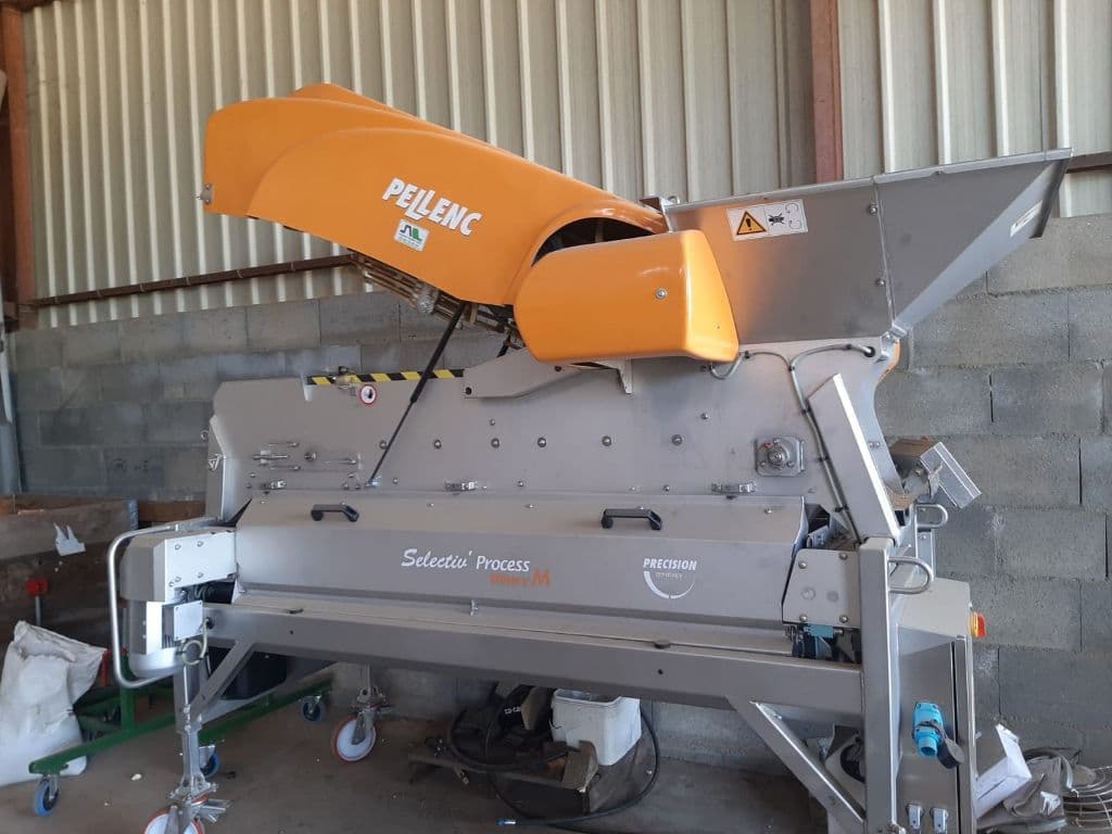 main picture