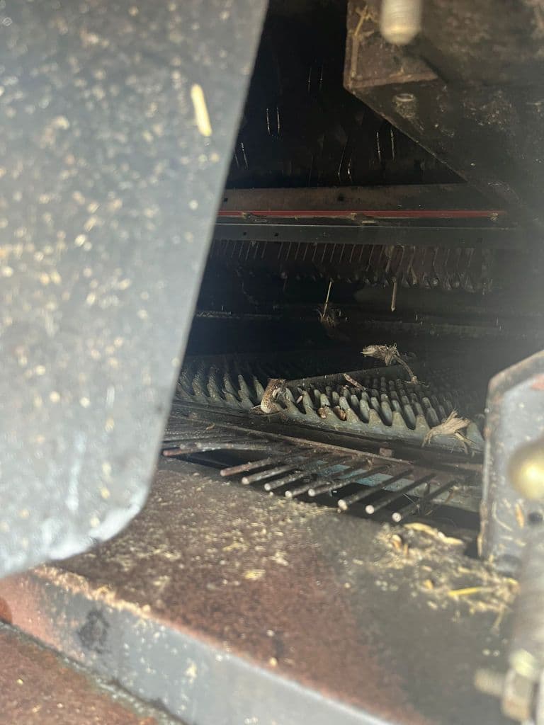 picture slide 17