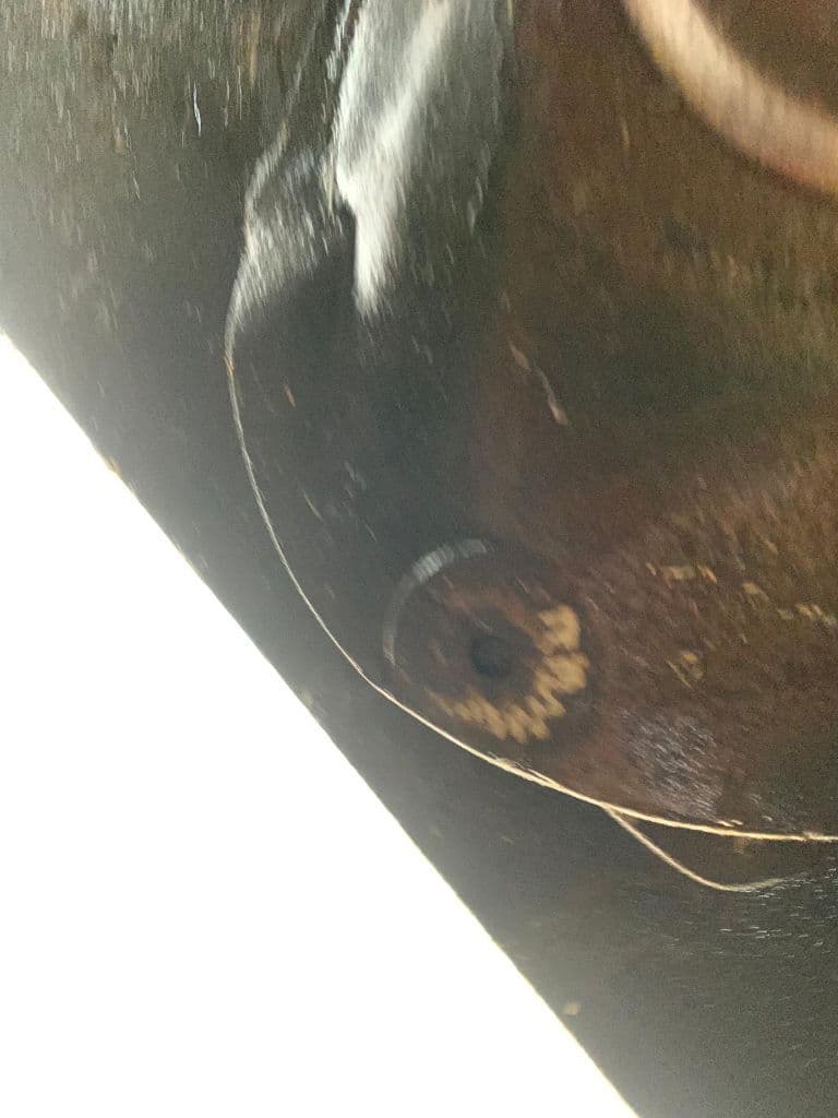 picture slide 22