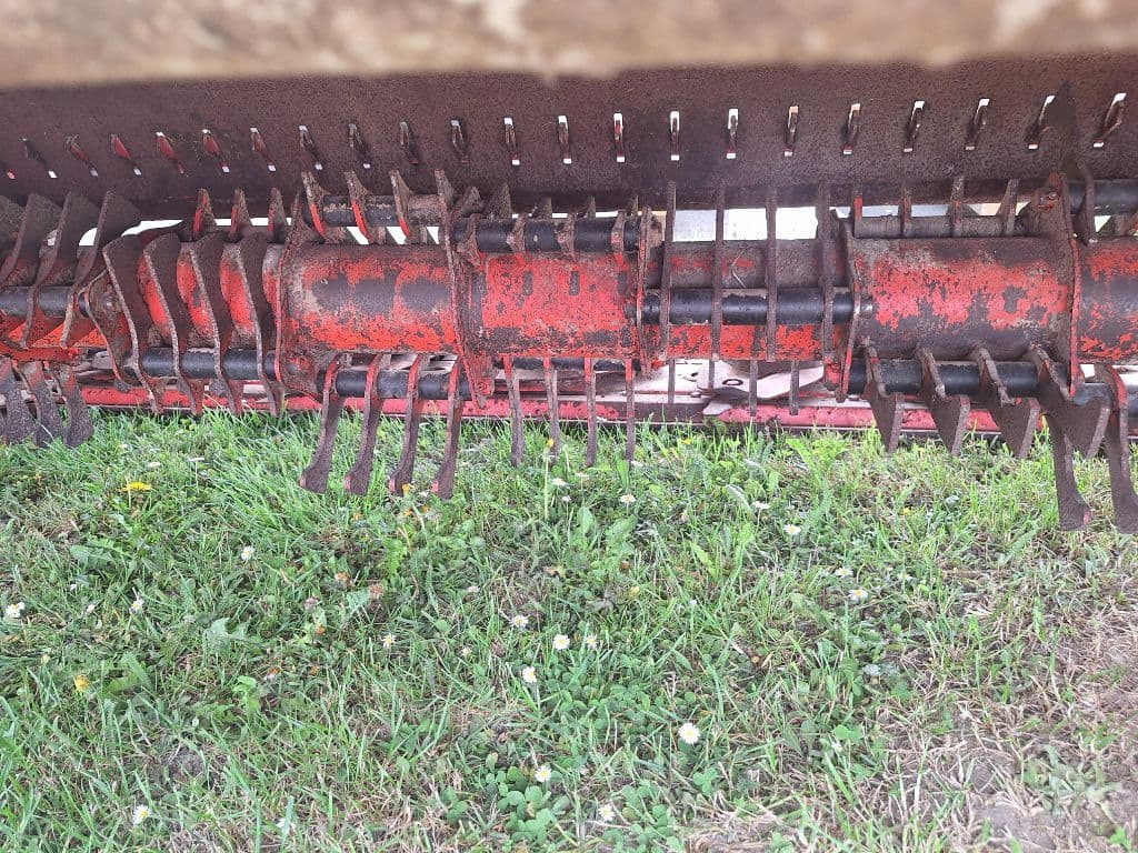picture slide 3