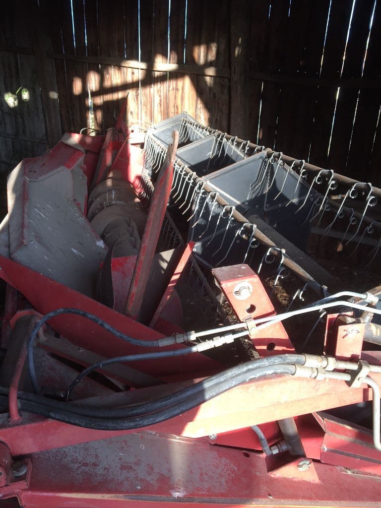picture slide 11