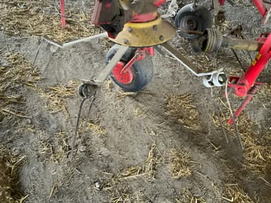 picture 2
