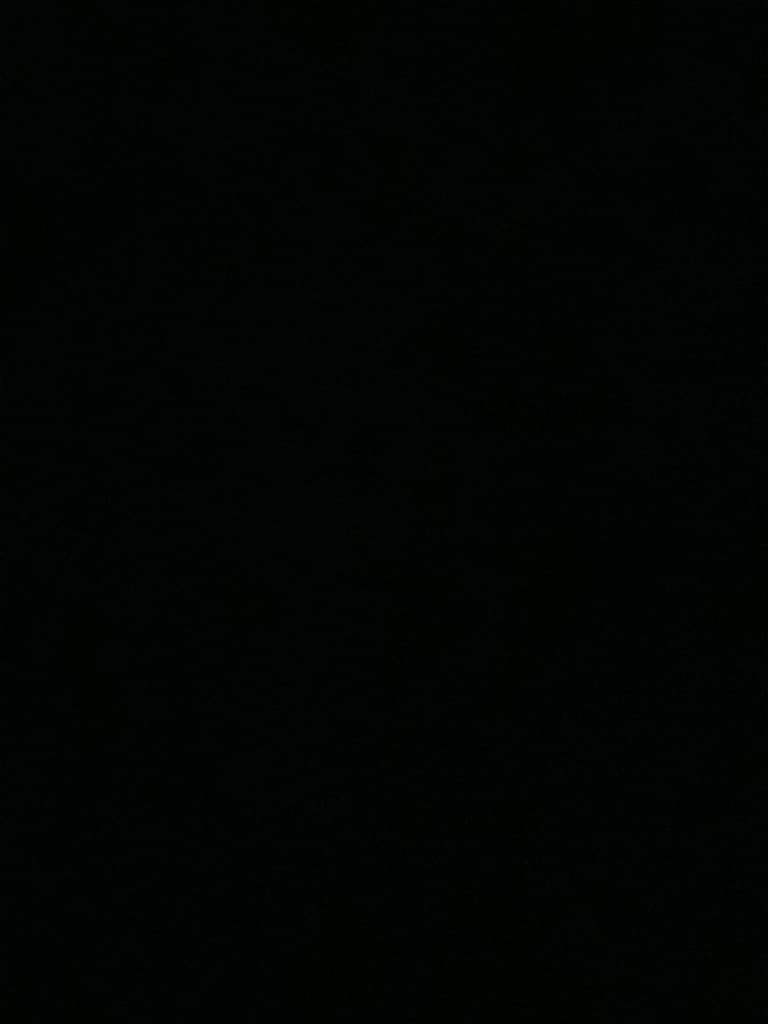 picture slide 13