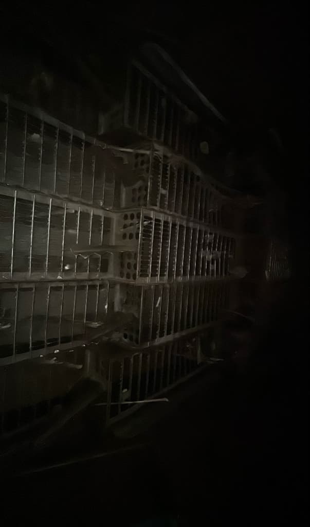 picture slide 36
