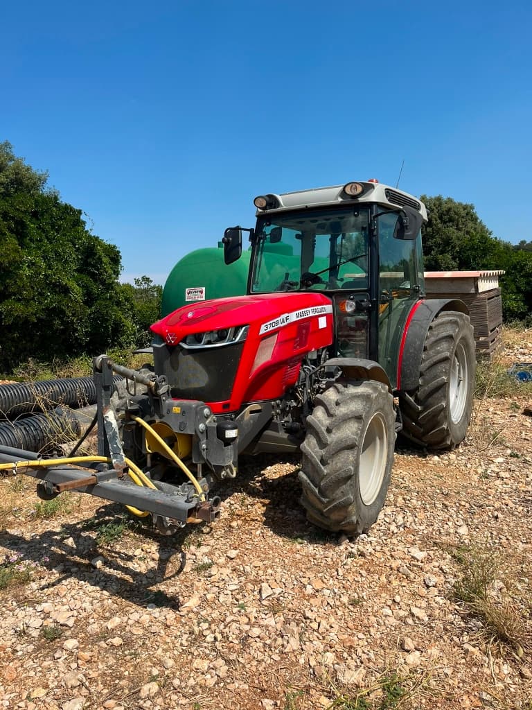 Tracteur MASSEY FERGUSON 3709 WF - photo principale