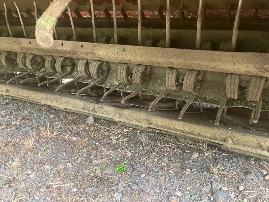 picture slide 3