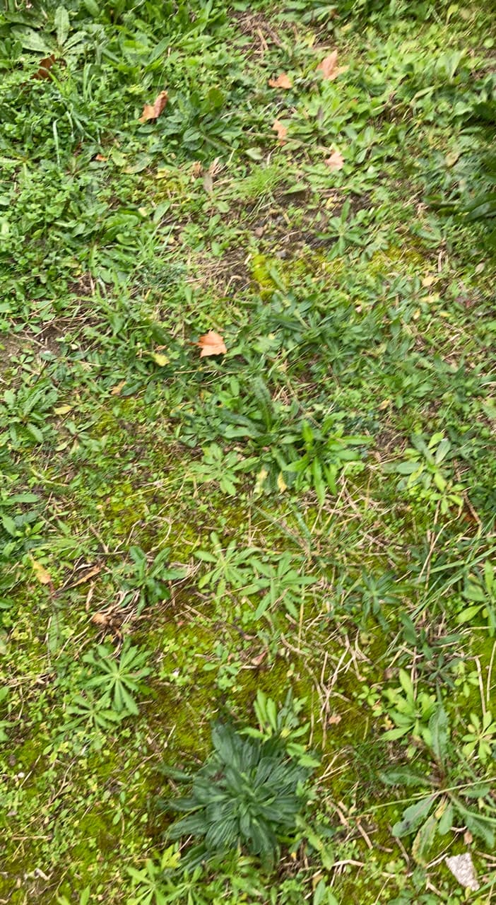 picture slide 7