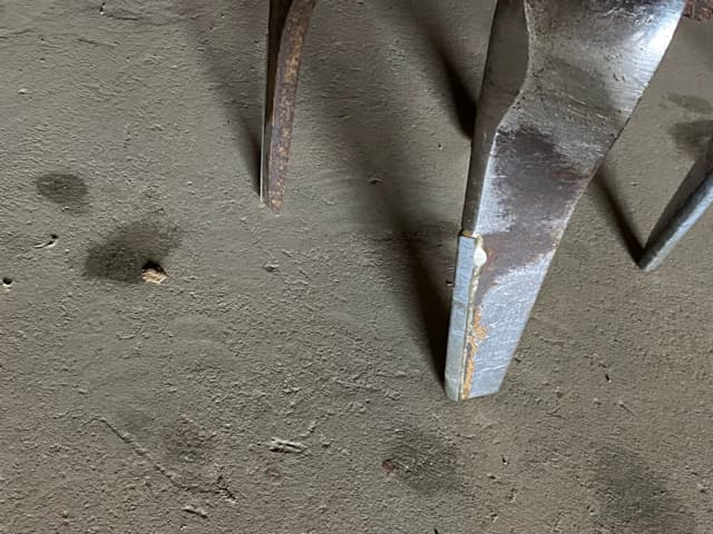 picture slide 5