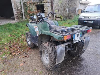 Quad - SSV YAMAHA Grizzly - photo 4