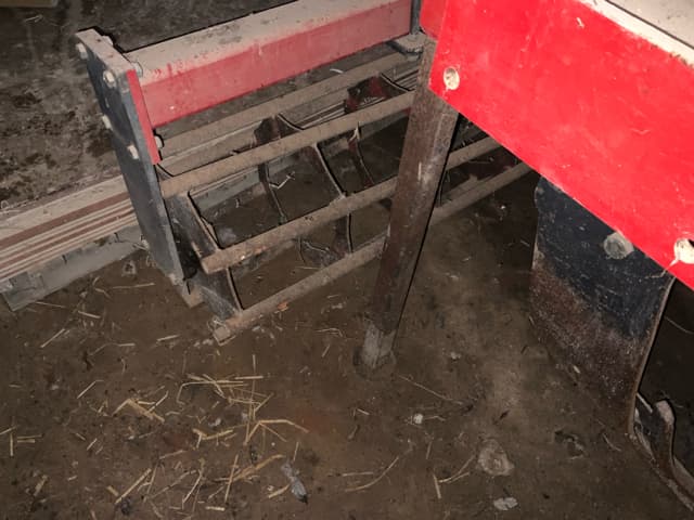 picture slide 1