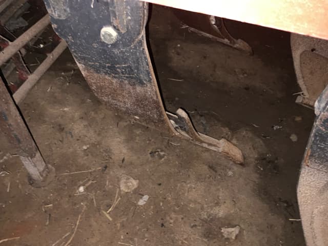 picture slide 3