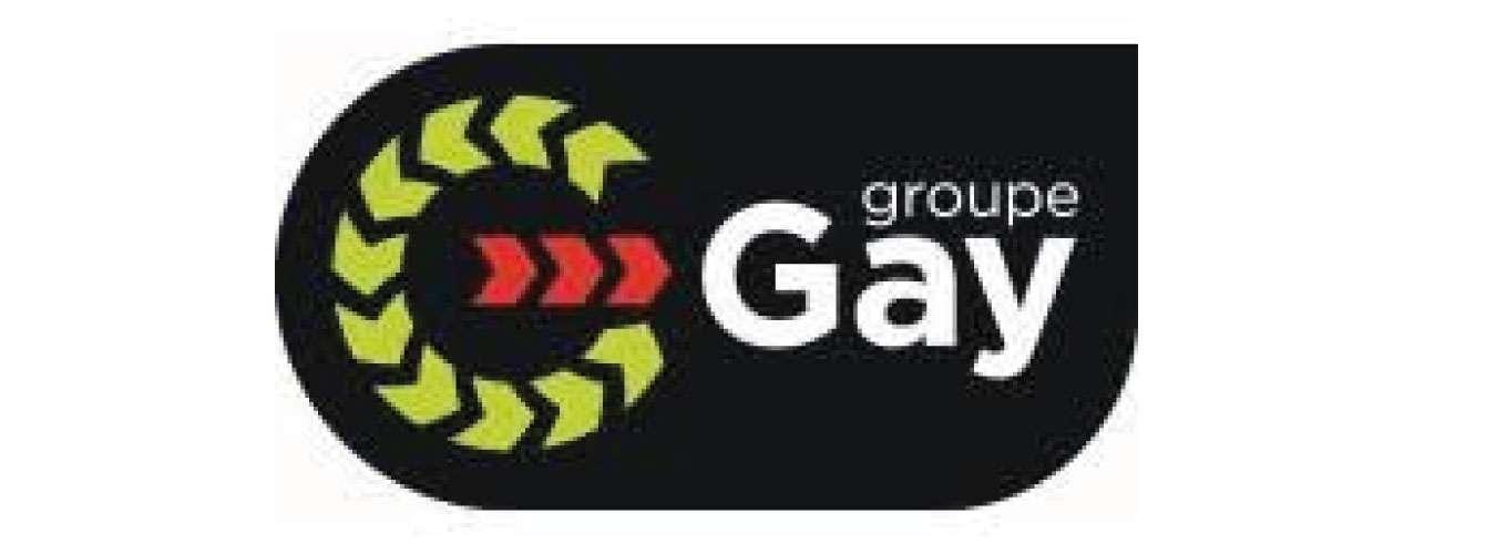 GROUPE LOUIS GAYLogo