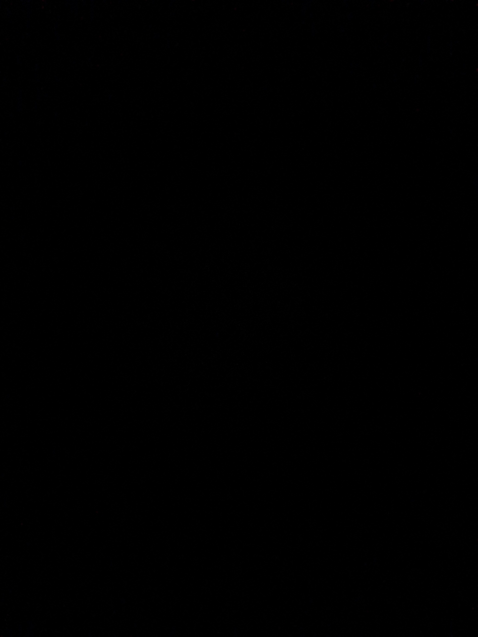 picture slide 12