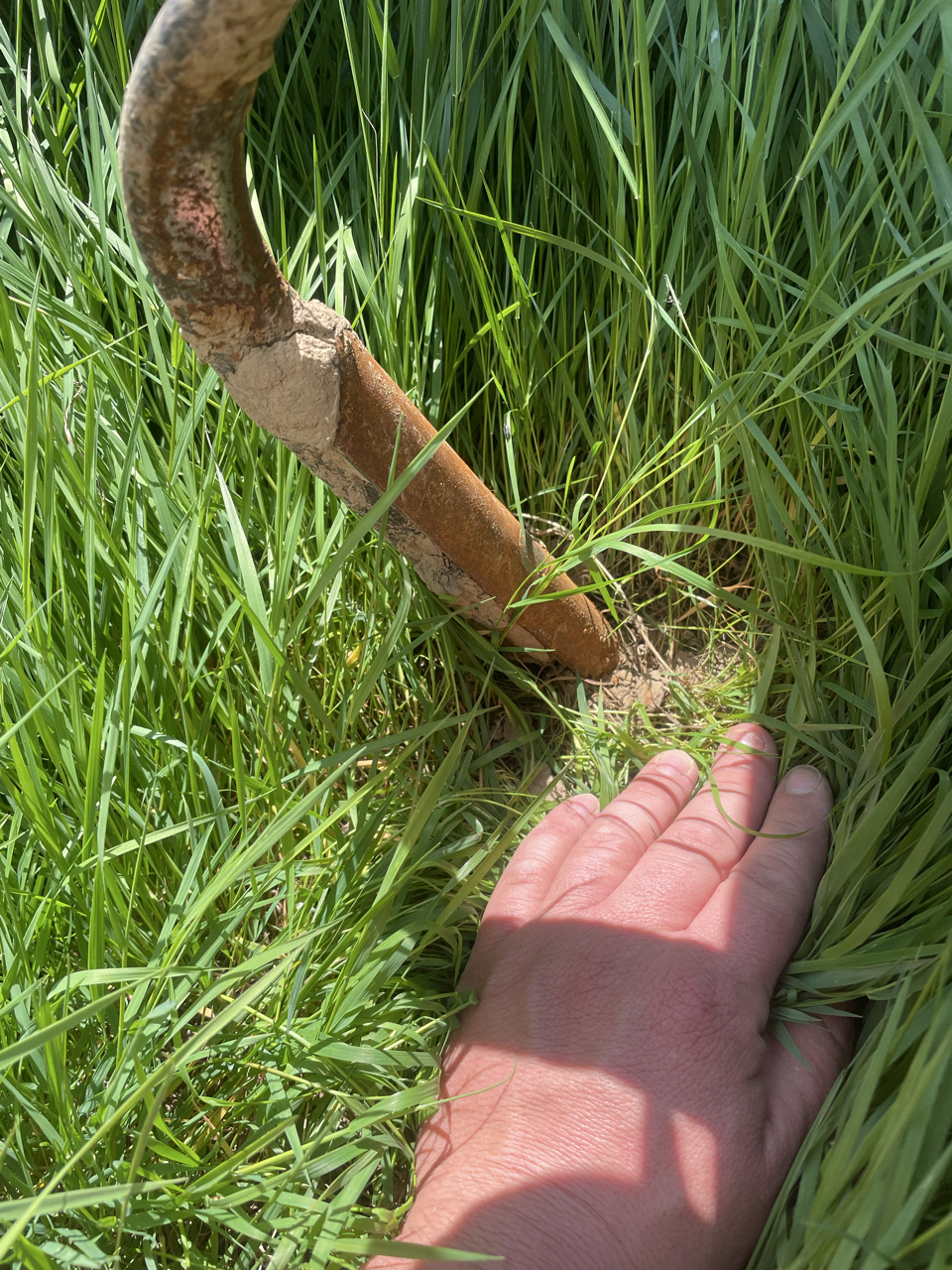 picture slide 3