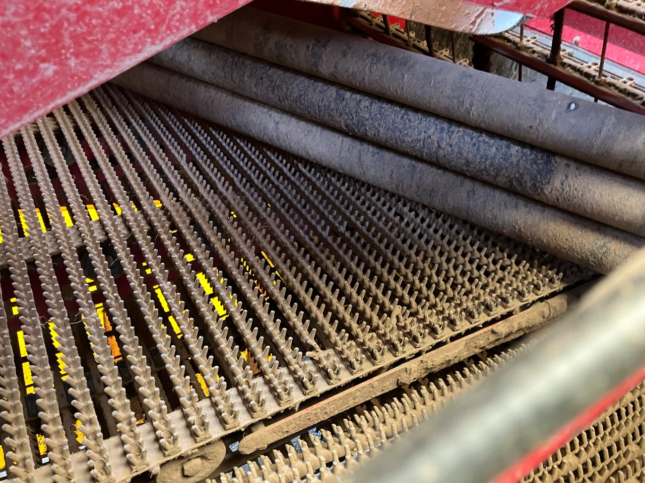 Arracheuse de pommes de terre GRIMME SE260 - photo slide 18