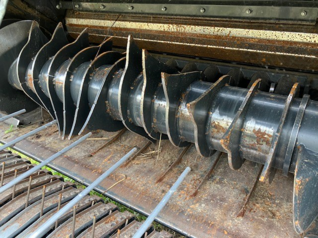 picture slide 4