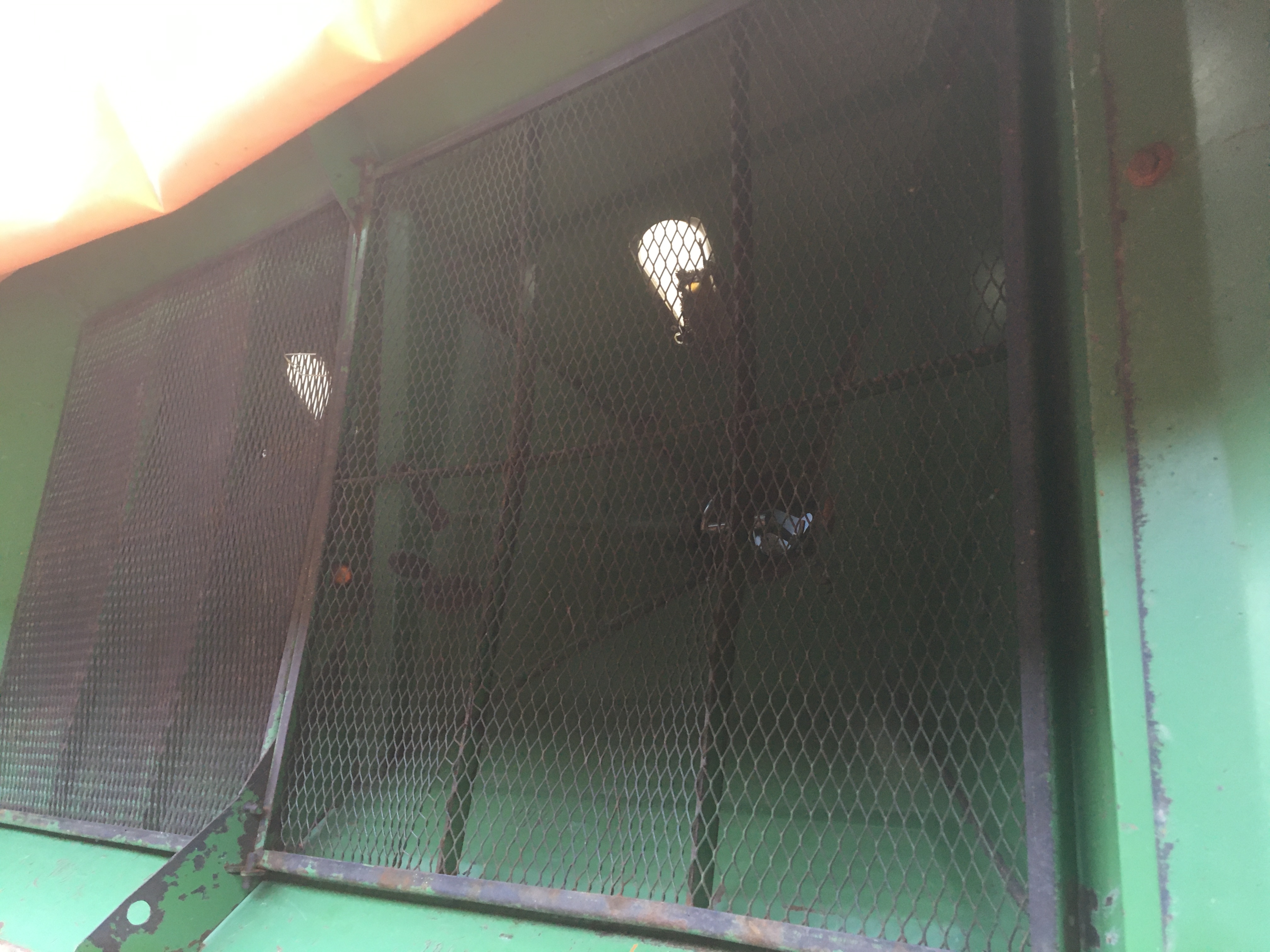picture slide 7