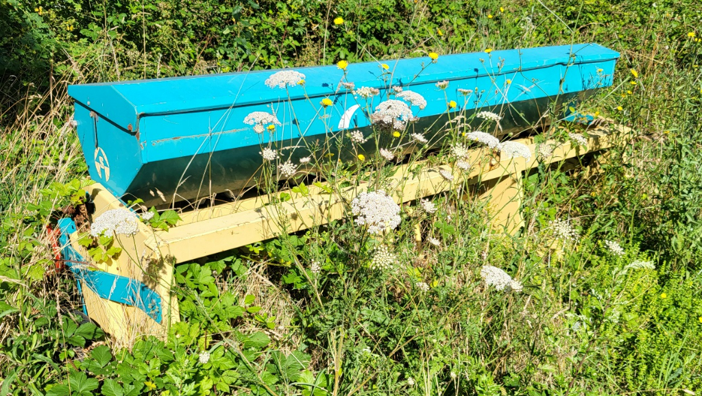picture slide 4