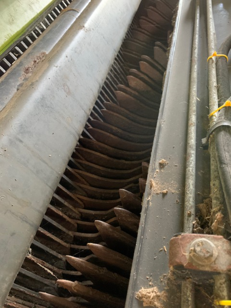 picture slide 3