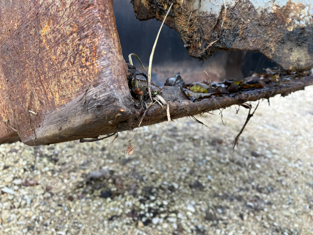 picture slide 29