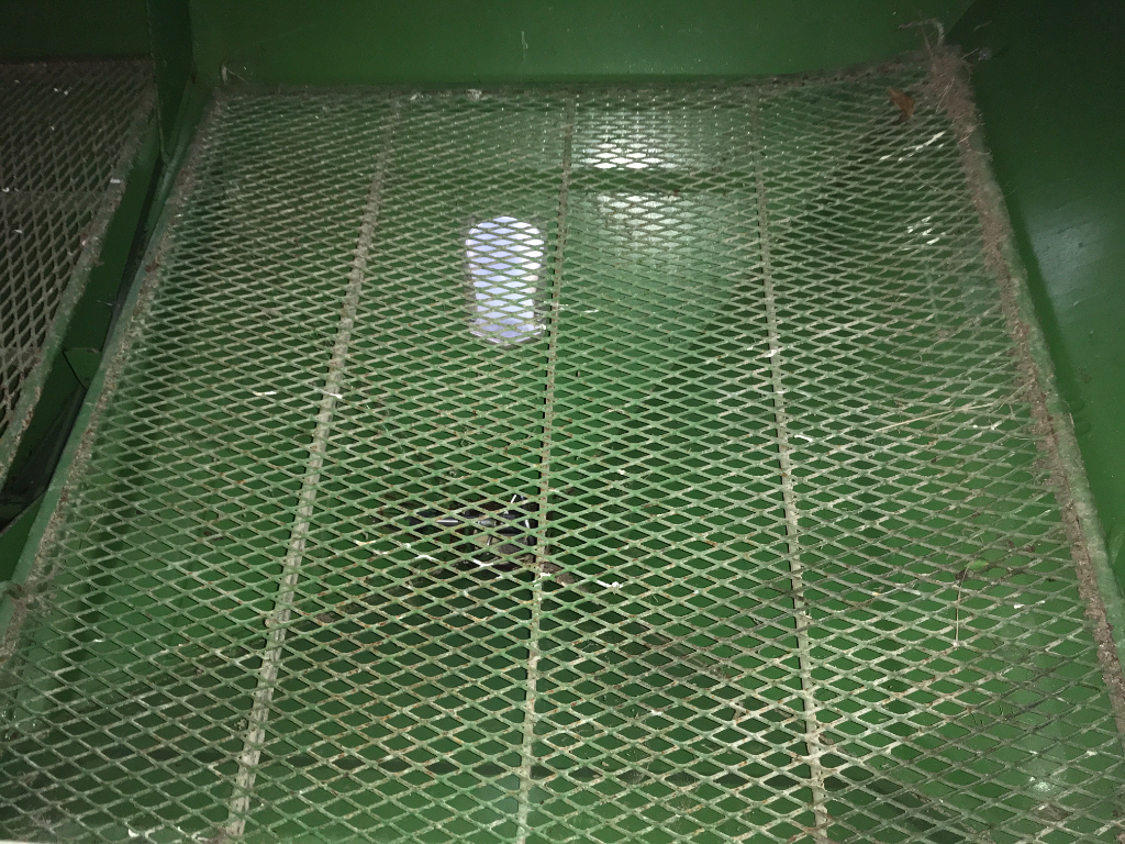 picture slide 6