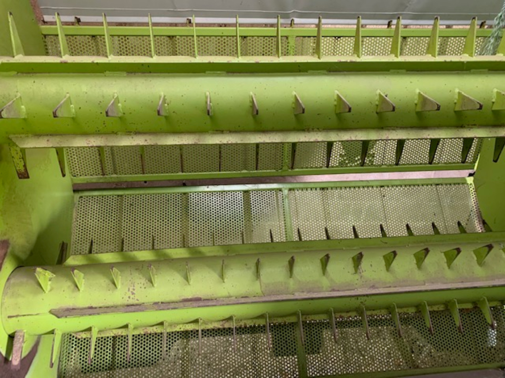 picture slide 11