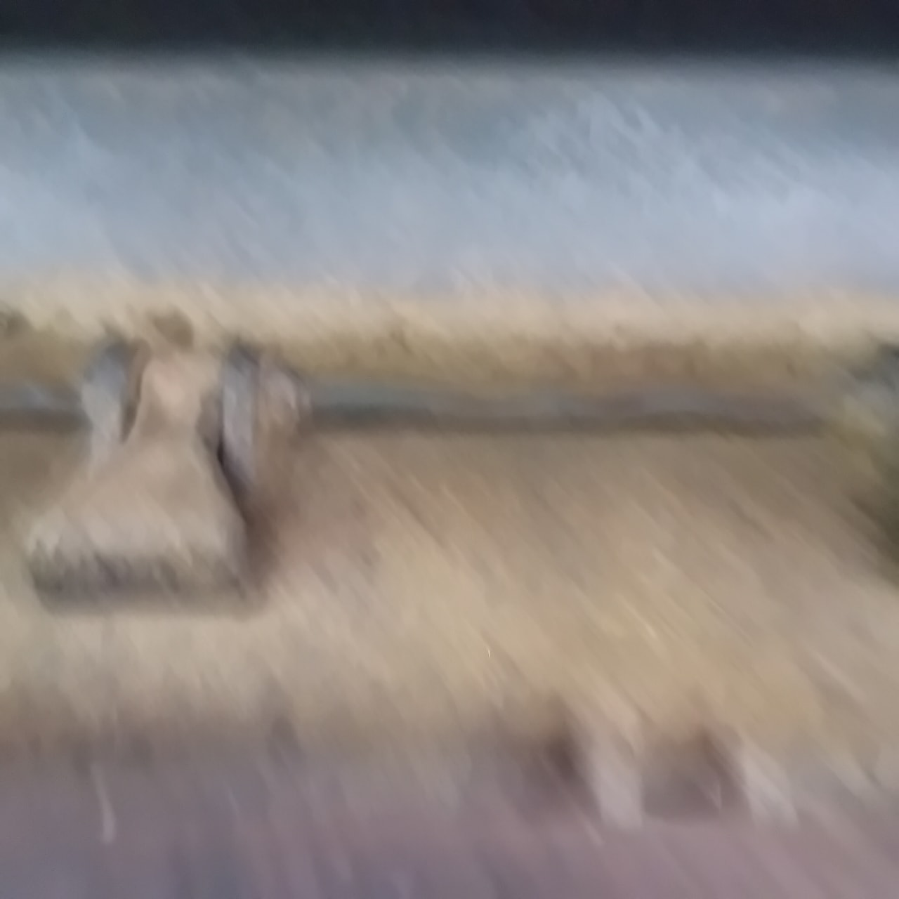 Broyeur DESVOYS Gl 310 - photo slide 3