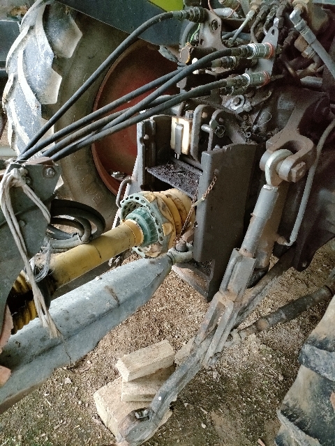 picture slide 5