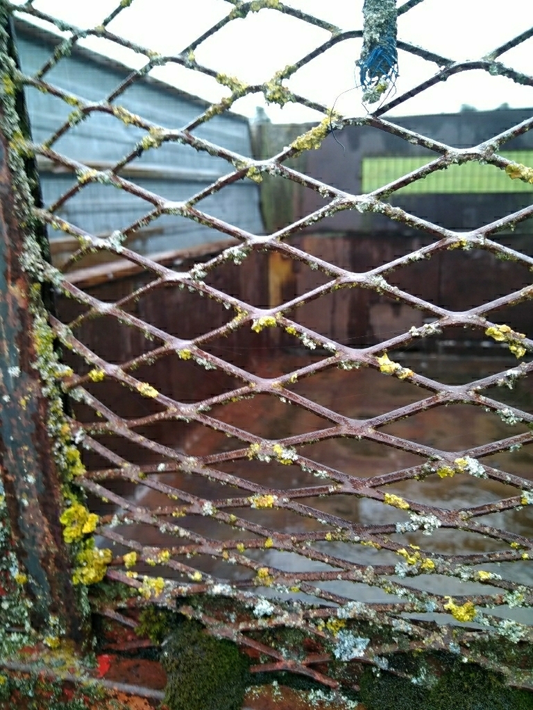 picture slide 4