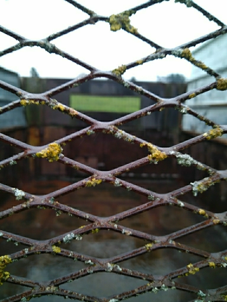 picture slide 3