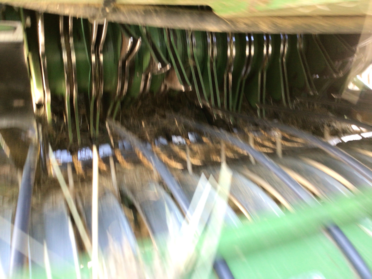 picture slide 17