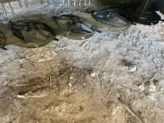 picture slide 2