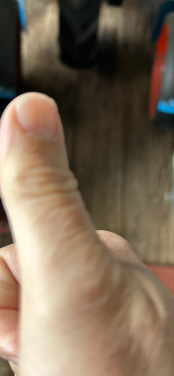 picture slide 5