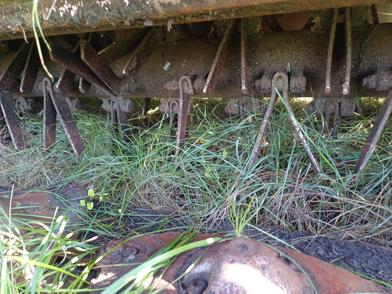 picture slide 2