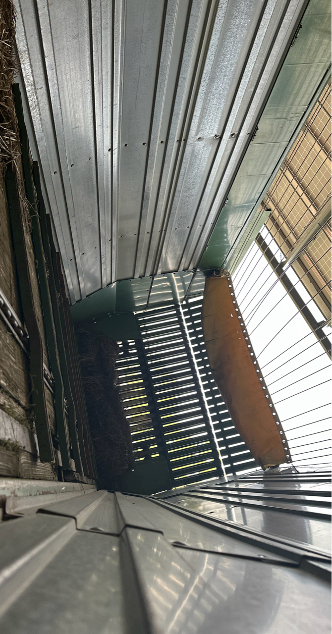 picture slide 6