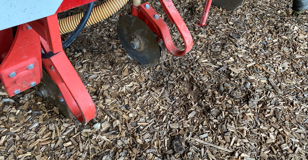 picture slide 4