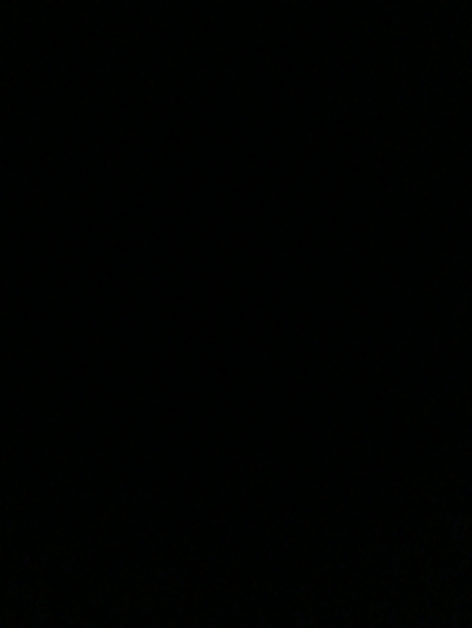 picture slide 10